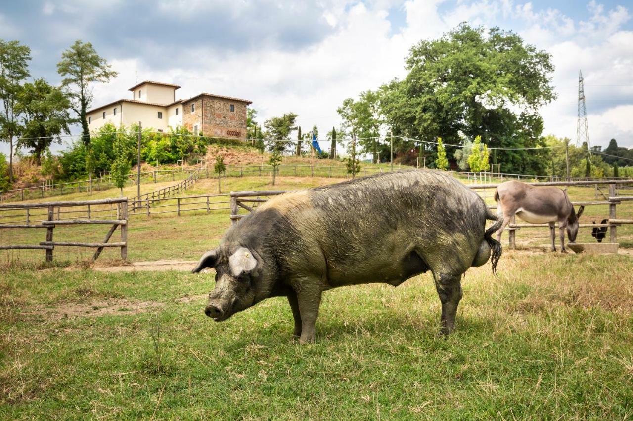 Palagina La Cascina Villa Figline Valdarno Luaran gambar