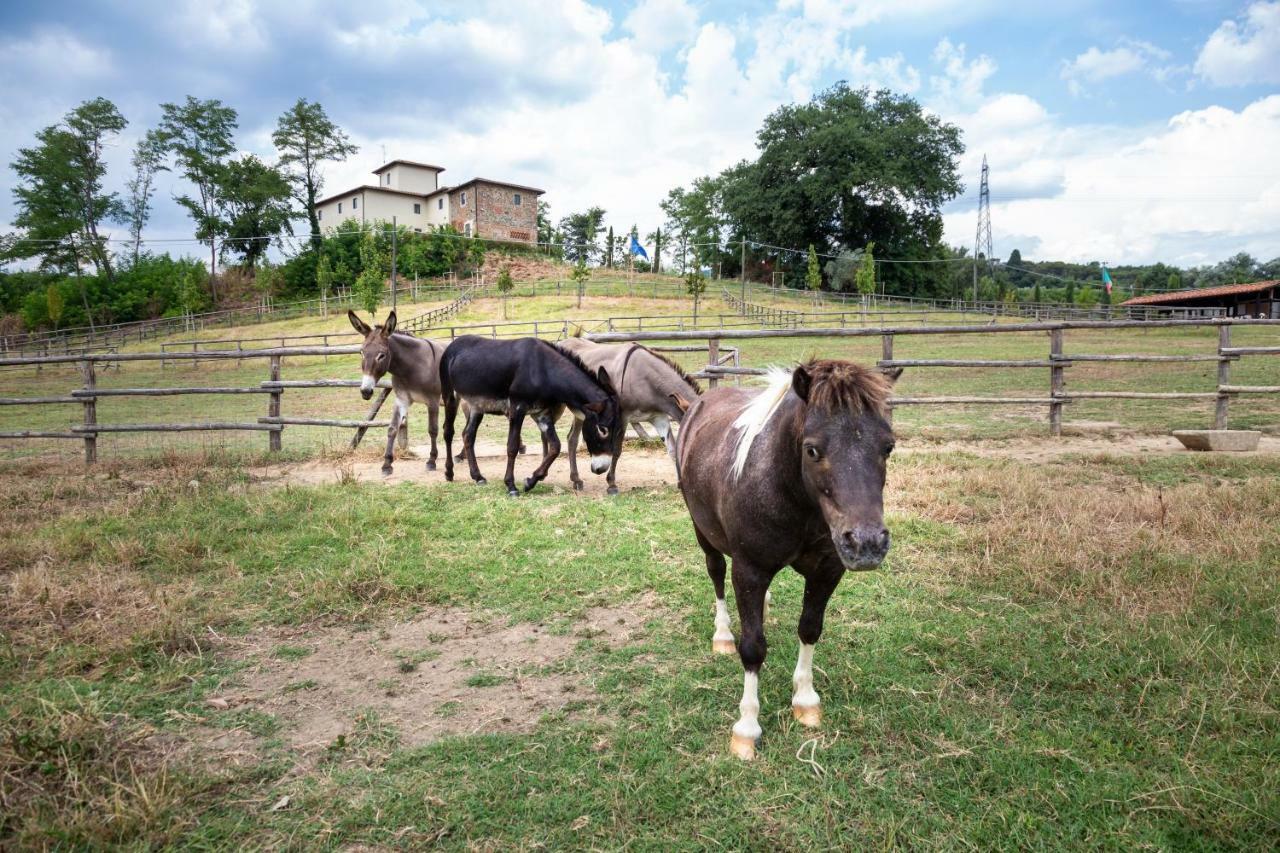 Palagina La Cascina Villa Figline Valdarno Luaran gambar